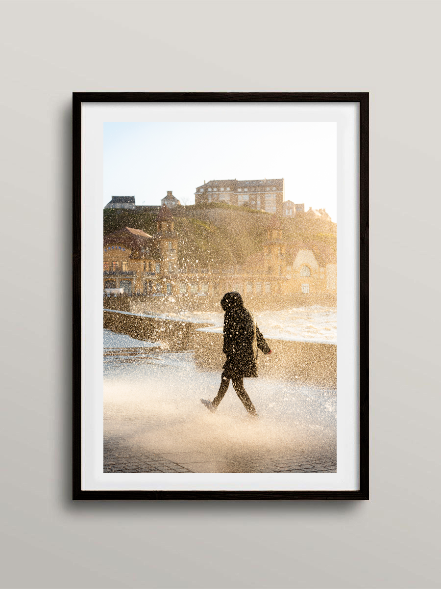 Bruine Normande