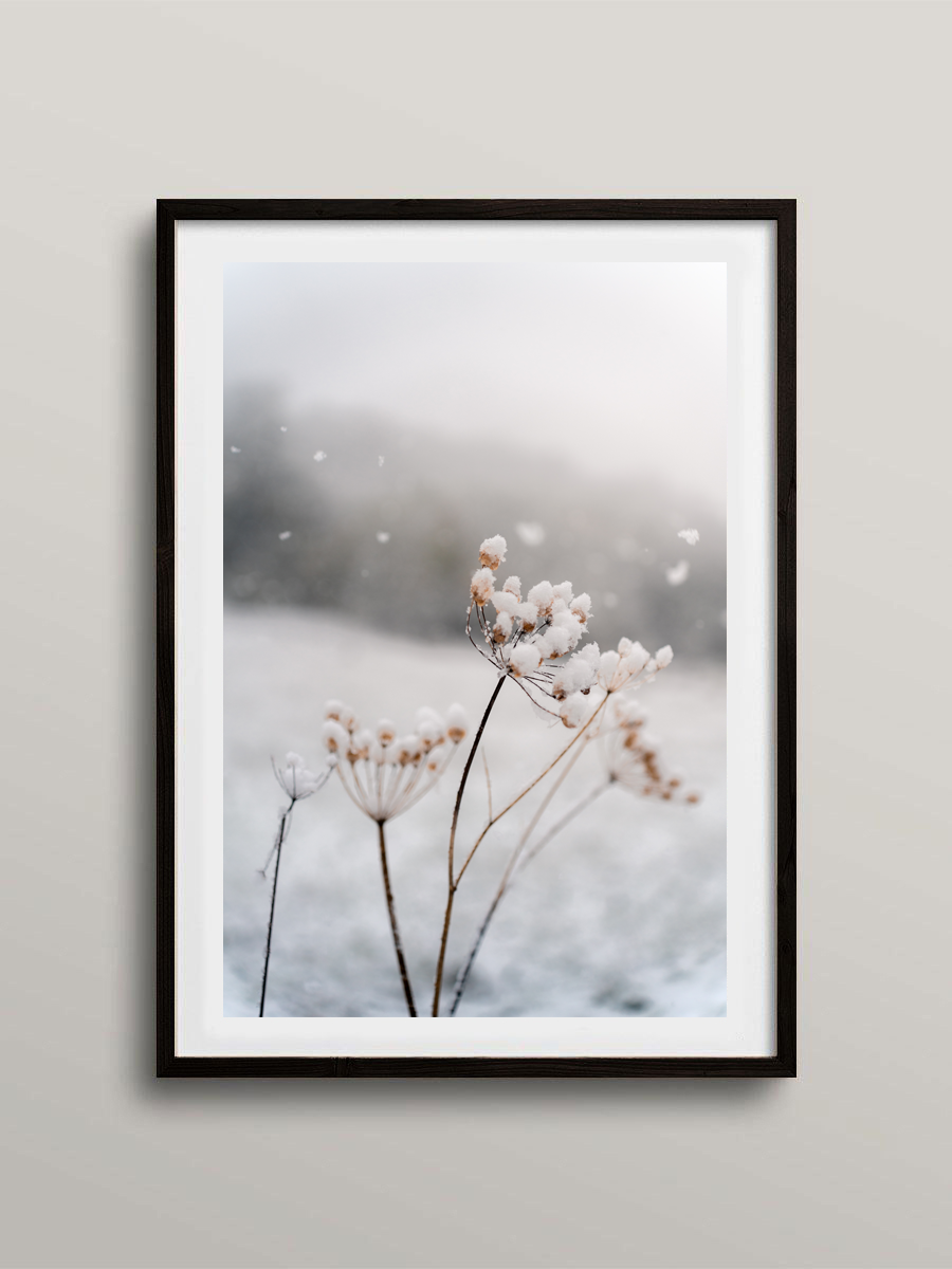 Hiver Normand