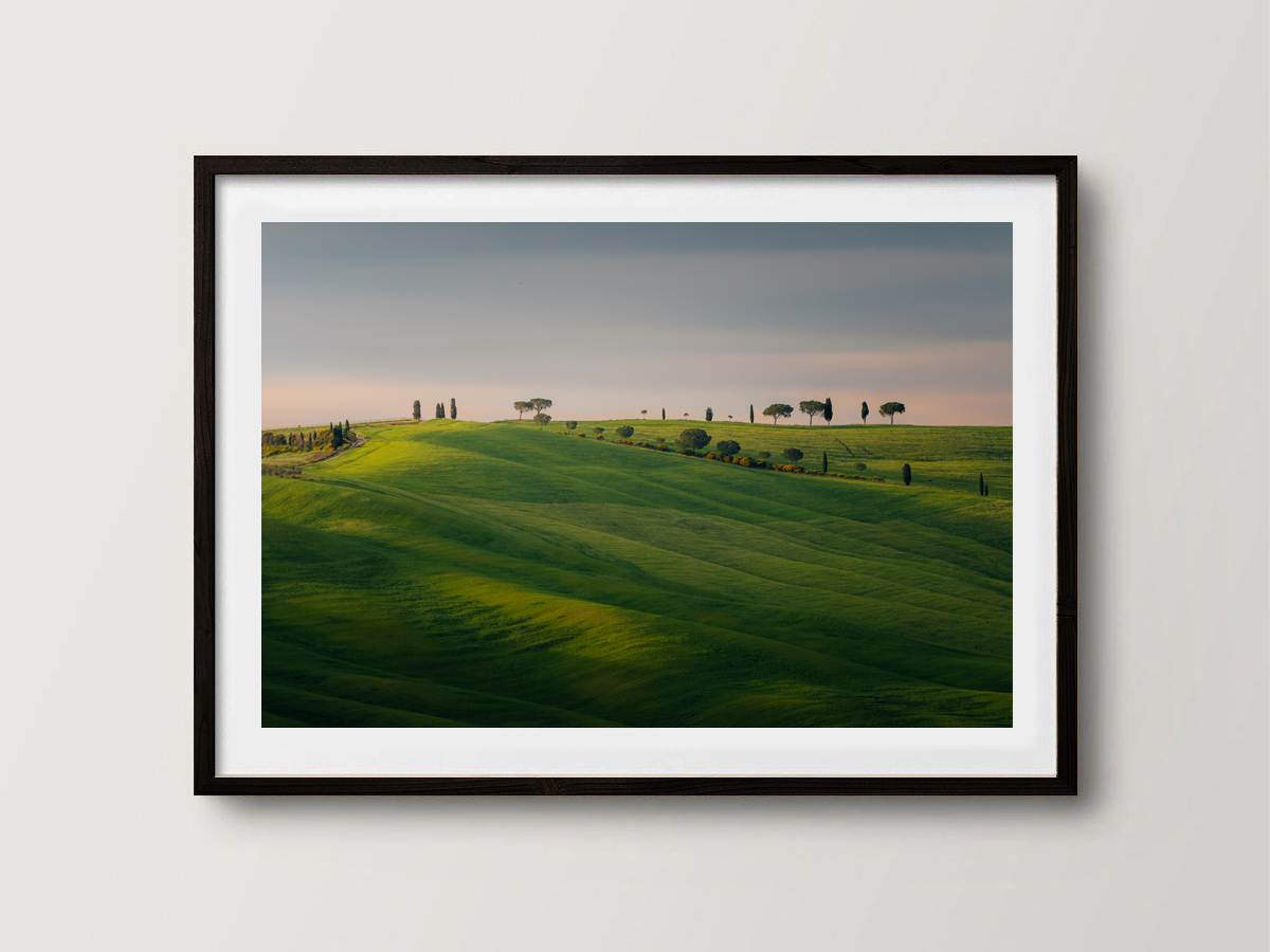Les collines du Val d'Orcia