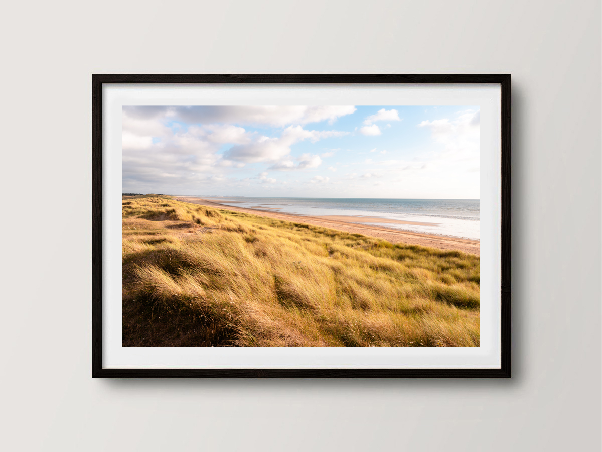 Dans les dunes