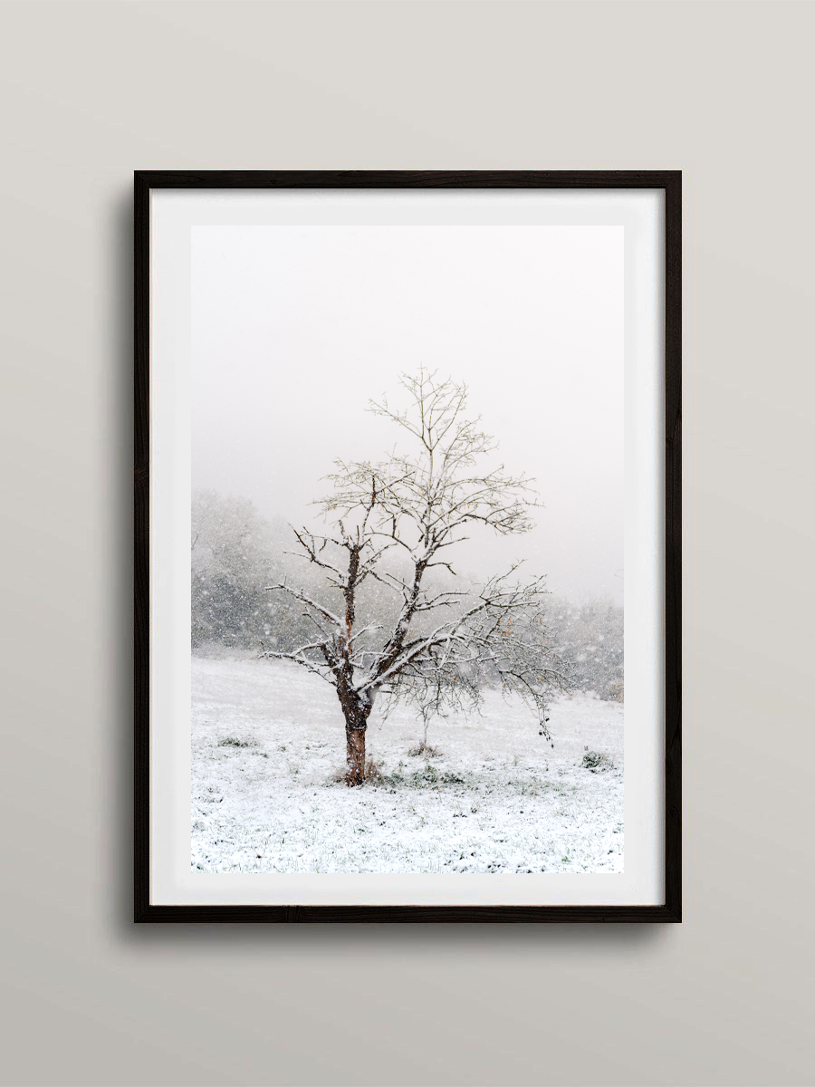 Tempête hivernale