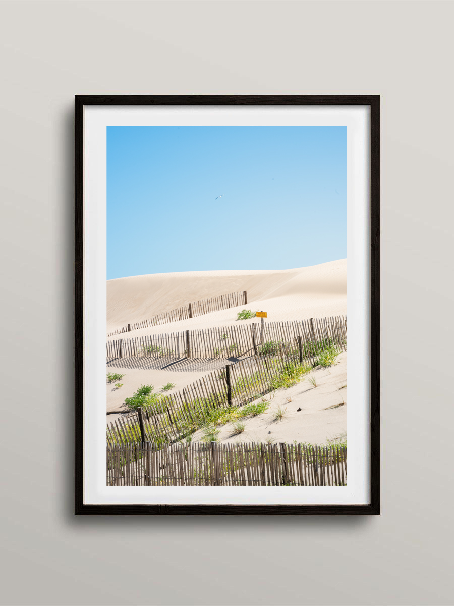 Les dunes de la plage de Carteret